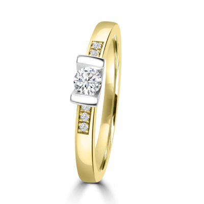 Huiscollectie Ring 14K Bicolor 0,21 Crt