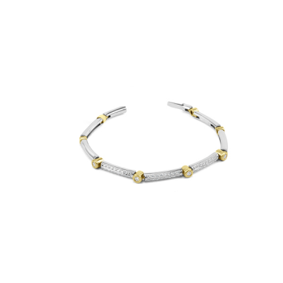 Huiscollectie Armband 14K Bicolor 0,76 Crt